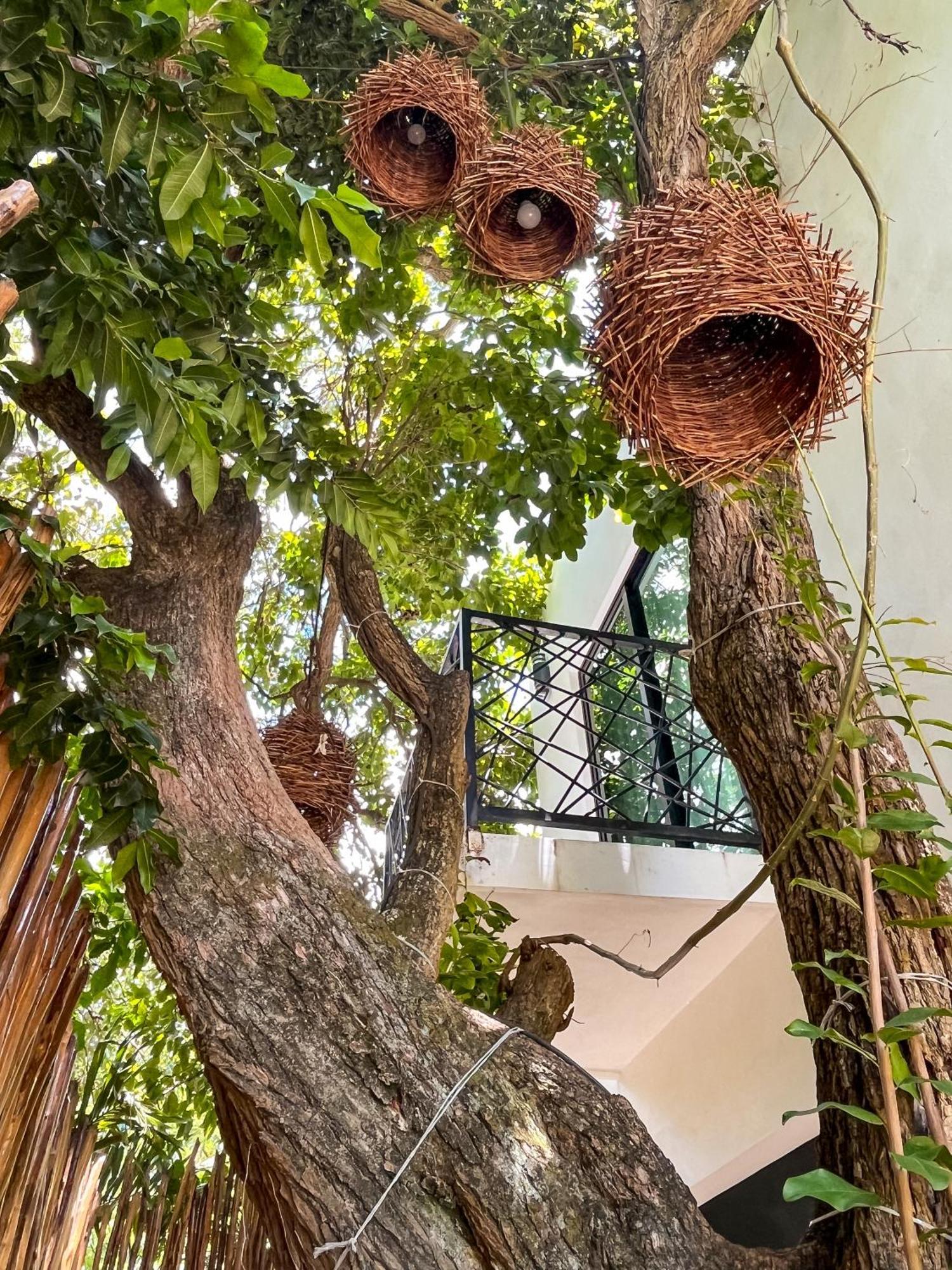 Hotel Kookay Valladolid วัลลาโดลิด ภายนอก รูปภาพ